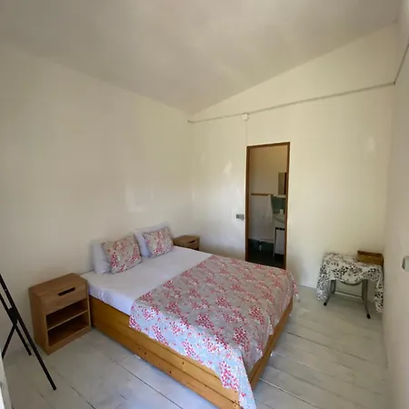 Cazare Guest house *