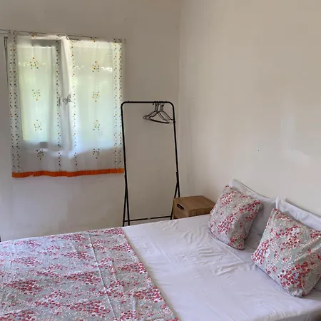 Guest house Cazare *