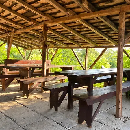 Cazare Guest house