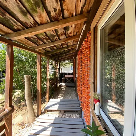 Cazare Guest house