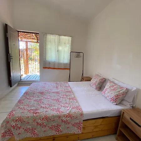 Guest house Cazare *